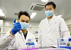 湖南省个人DNA亲子鉴定需要多少钱，湖南省隐私亲子鉴定的流程