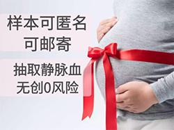 在[湖南省]怀孕期间如何办理DNA鉴定，湖南省孕期亲子鉴定怎么收费